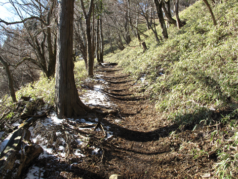 20181214hike (116)